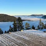 Phenomenal View Over Vrådal&vråvatn Vrådal
