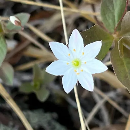 Phenomenal View Over And Vravatn *