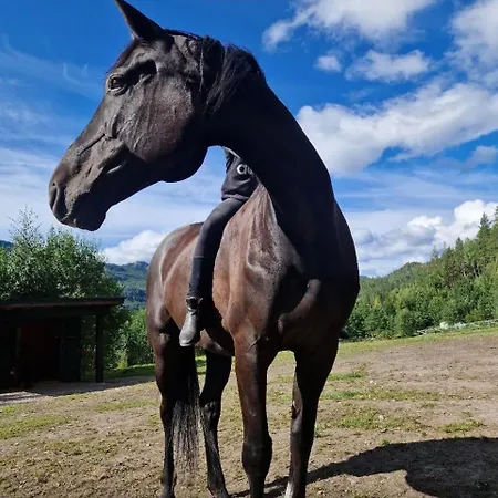Phenomenal View Over And Vravatn ヴラダル