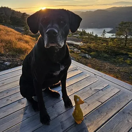 Phenomenal View Over And Vravatn